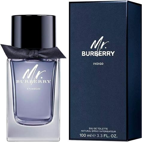 mr burberry indigo scent|mr burberry indigo price.